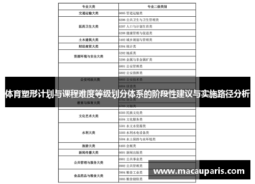体育塑形计划与课程难度等级划分体系的阶段性建议与实施路径分析