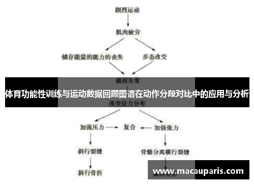体育功能性训练与运动数据回顾图谱在动作分段对比中的应用与分析