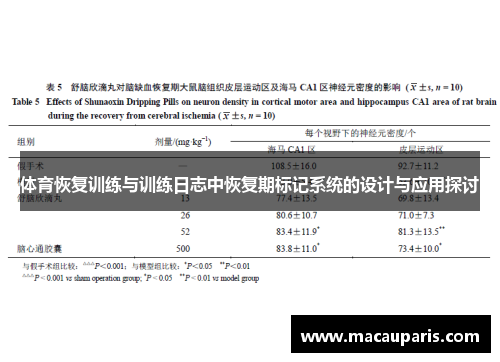 体育恢复训练与训练日志中恢复期标记系统的设计与应用探讨